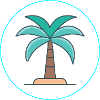 Palme