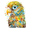 Budgie Parakeet