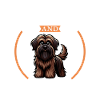 Coffee and Briard