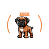 Coffee and Bullmastiff