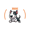 Café et Bull Terrier