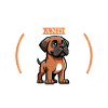 Café et Broholmer