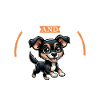 Café et Ratonero mallorquín