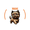 Coffee and Cairn Terrier