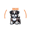 Coffee and Campeiro Bulldog