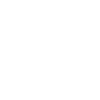 Dachshund, Dackel, Teckel, Rauhaardackel