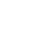 Dachshund, Dackel, Teckel, Rauhaardackel