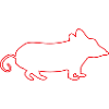 Maus Tier