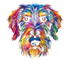 Irish Wolfhound Dog Popart