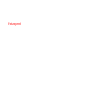 Chien