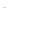 Giant Tortoise