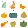 Bunte Herbstkürbis-Kollektion