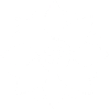 White Lotus Flower