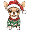 Chihuahua Hund Weihnachten