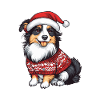 Border Collie Chien Noël