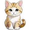Sitting Cat