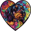 Lévrier Afghan Chien Coeur Amour