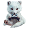 Renard polaire