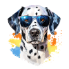 Dalmatian with sunglasses