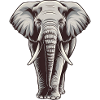 Elephants