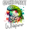 Monk Parakeet Whisperer