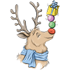 Reindeer