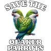 Mönchssittich Save Quaker Parrot