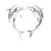 Dolphin, Cute Dolphins, Heart