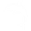 Dolphin, Cute Dolphin