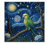 Monk Parakeet Starry Night