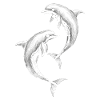 Dolphin, Cute Dolphins