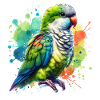 Monk Parakeet Gift