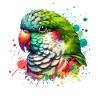 Monk Parakeet Motif