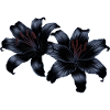 Lilien, blumen Outfits, goth