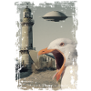 UFO - Seagull - Rostock - Teepot - Warnemünde