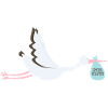 Special baby stork delivery