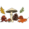 Autumn Mushroom Leaves Chestnut