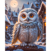 super cute birds – snowy owl