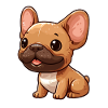Mignon petit bulldog français