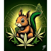 Green Weed Squirrel