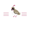 Quail Bird Quails