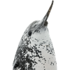 Narval