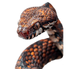 Serpent