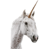 Licorne