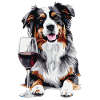 Australian Shepherd