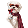 Maltese
