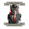 Chef Katze