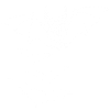 White Vampire Bat