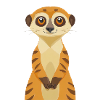 Suricate
