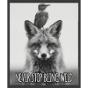 NEVER STOP BEING WILD